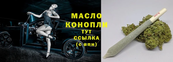 молекула духа Няндома