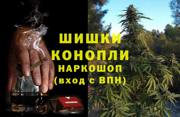 молекула духа Няндома